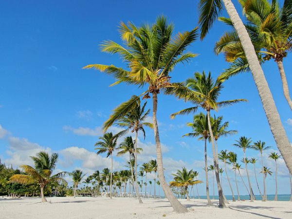 Comment organiser des vacances en Espagne avec des cours de flamenco et des visites de musées?